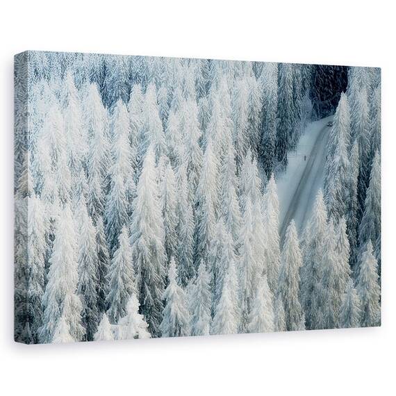Tablou Canvas - Intalnire, Marime: 40 x 60 cm - - Roveli