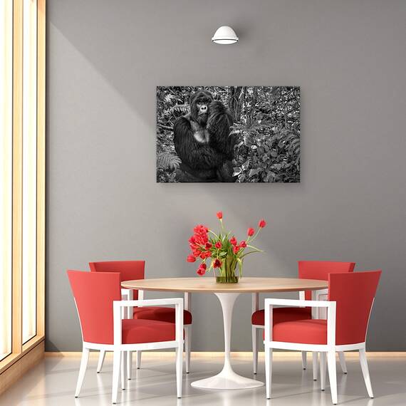 Tablou Canvas - Kwitonda Silverback, Marime: 40 x 60 cm - 4- Roveli