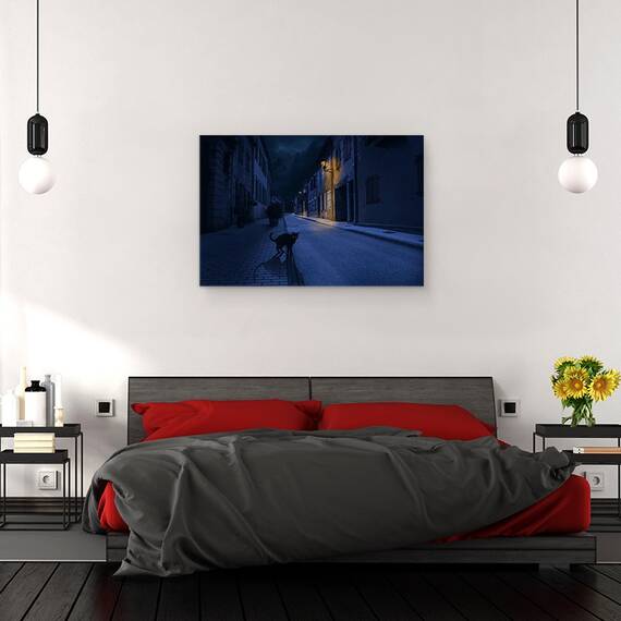 Tablou Canvas - Le Chat Noir, Marime: 40 x 60 cm - 3- Roveli