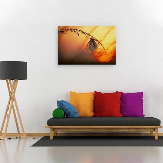 Tablou Canvas - Noapte Buna, Marime: 40 x 60 cm - 2- Roveli