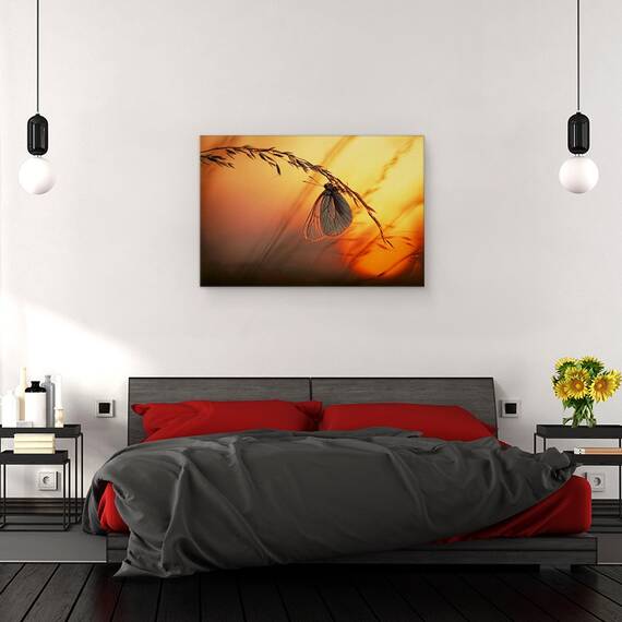 Tablou Canvas - Noapte Buna, Marime: 40 x 60 cm - 3- Roveli