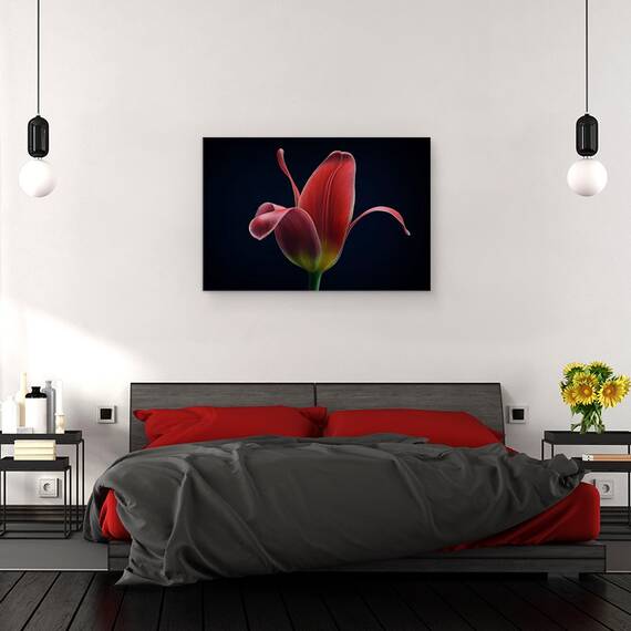 Tablou Canvas - Prima Lalea, Marime: 40 x 60 cm - 3- Roveli