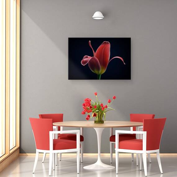 Tablou Canvas - Prima Lalea, Marime: 40 x 60 cm - 4- Roveli