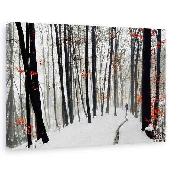 Tablou Canvas - Prin Toamna Si Iarna, Marime: 40 x 60 cm - - Roveli