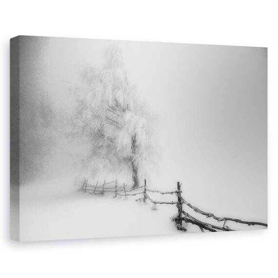 Tablou Canvas -  Prins, Marime: 40 x 60 cm - - Roveli