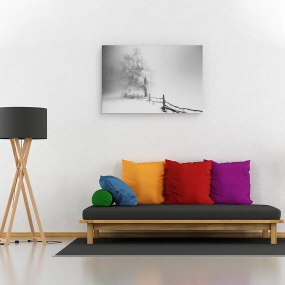 Tablou Canvas -  Prins, Marime: 40 x 60 cm - 2- Roveli
