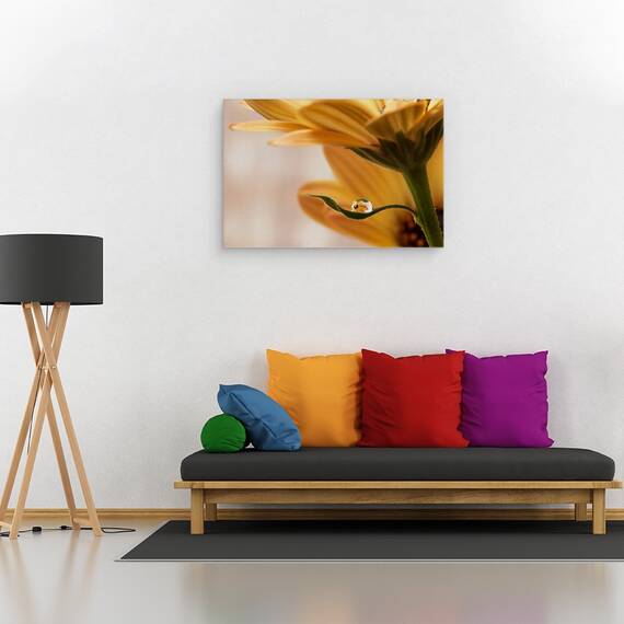 Tablou Canvas - Protejat, Marime: 40 x 60 cm - 2- Roveli