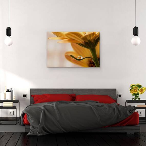 Tablou Canvas - Protejat, Marime: 40 x 60 cm - 3- Roveli