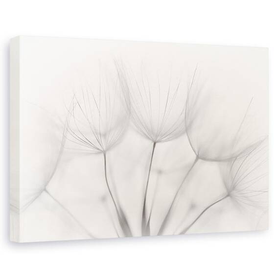 Tablou Canvas - Punct, Marime: 40 x 60 cm - - Roveli