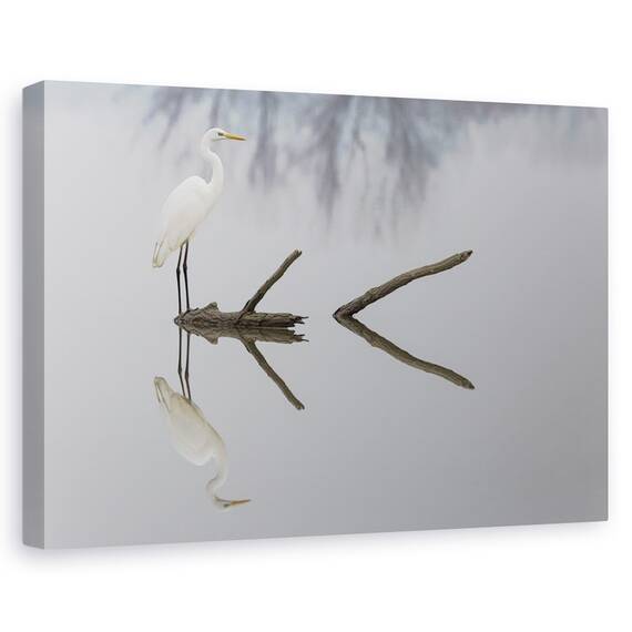 Tablou Canvas - Reflectii, Marime: 40 x 60 cm - - Roveli