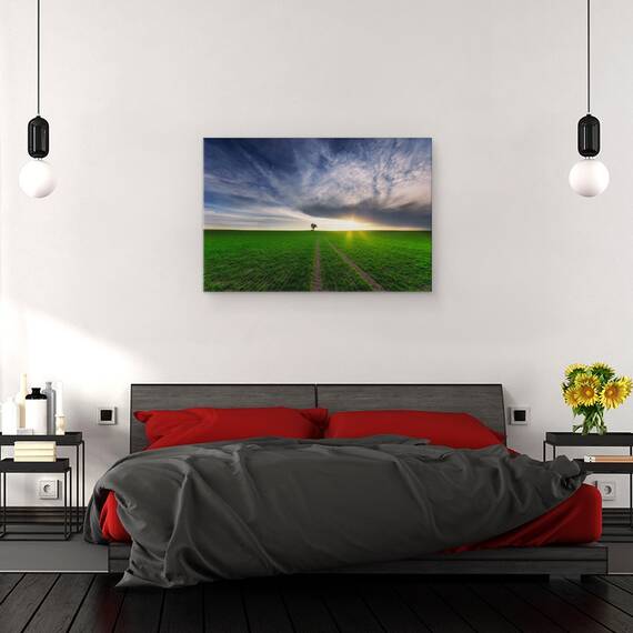 Tablou Canvas - Singuratic In Soare, Marime: 40 x 60 cm - 3- Roveli