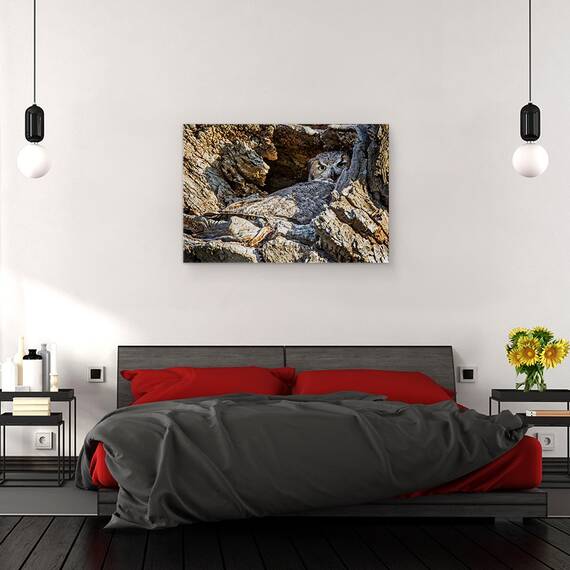 Tablou Canvas - Timid, Marime: 40 x 60 cm - 3- Roveli