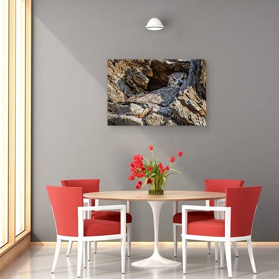 Tablou Canvas - Timid, Marime: 40 x 60 cm - 4- Roveli