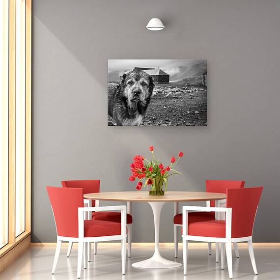 Tablou Canvas - Turma Gasca Mea, Marime: 40 x 60 cm - 4- Roveli