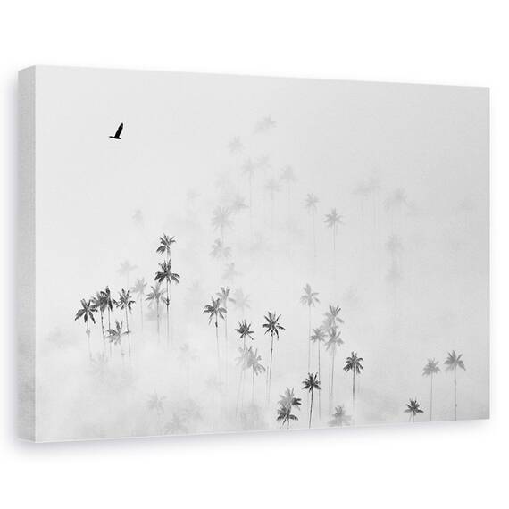 Tablou Canvas - Valea Cocora, Marime: 40 x 60 cm - - Roveli