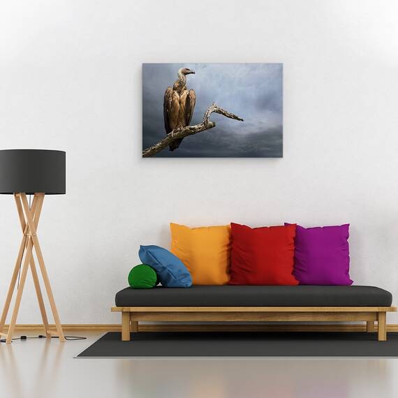 Tablou Canvas - Vulturul, Marime: 40 x 60 cm - 2- Roveli