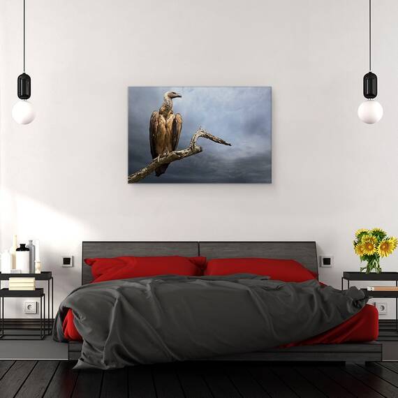 Tablou Canvas - Vulturul, Marime: 40 x 60 cm - 3- Roveli