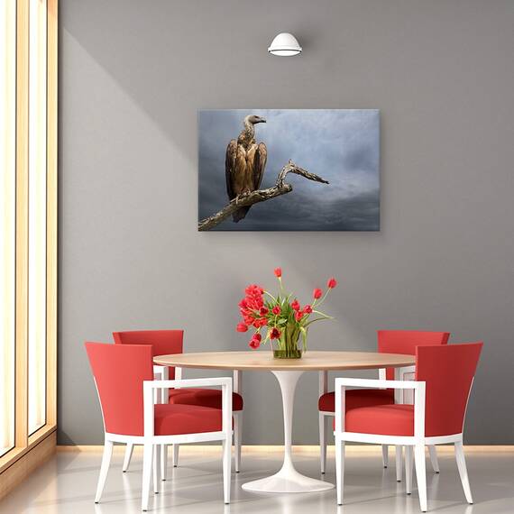 Tablou Canvas - Vulturul, Marime: 40 x 60 cm - 4- Roveli