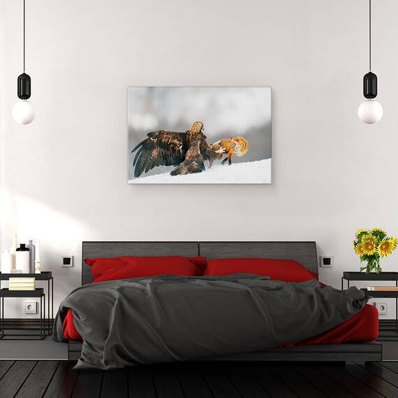 Tablou Canvas - Vulturul De Aur Si Vulpea Rosie, Marime: 40 x 60 cm - 3- Roveli
