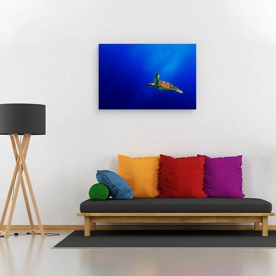 Tablou Canvas - Zbor, Marime: 40 x 60 cm - 2- Roveli