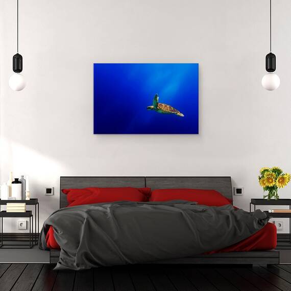 Tablou Canvas - Zbor, Marime: 40 x 60 cm - 3- Roveli