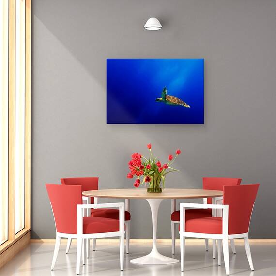 Tablou Canvas - Zbor, Marime: 40 x 60 cm - 4- Roveli