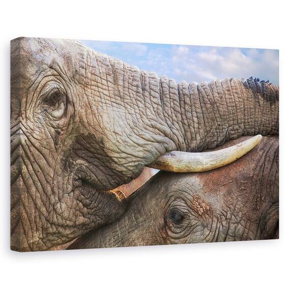 Tablou Canvas - Addo Dragoste, Marime: 40 x 60 cm - - Roveli