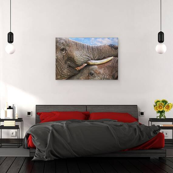 Tablou Canvas - Addo Dragoste, Marime: 40 x 60 cm - 3- Roveli