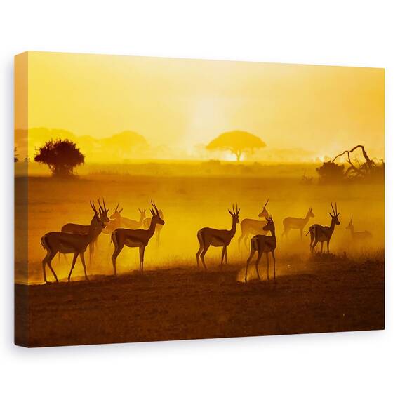 Tablou Canvas - Ai Grija, Marime: 40 x 60 cm - - Roveli