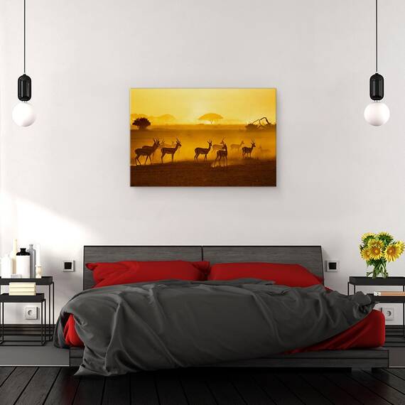 Tablou Canvas - Ai Grija, Marime: 40 x 60 cm - 3- Roveli