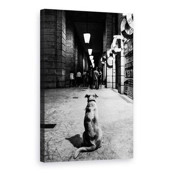 Tablou Canvas - Asteptarea, Marime: 40 x 60 cm - - Roveli