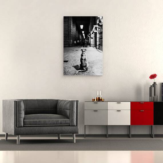 Tablou Canvas - Asteptarea, Marime: 40 x 60 cm - 2- Roveli