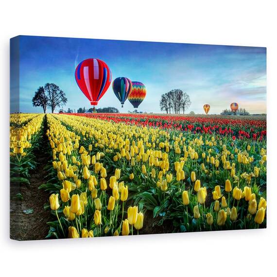 Tablou Canvas - Baloane Cu Aer Cald Peste Campul Cu Lalele, Marime: 40 x 60 cm - - Roveli
