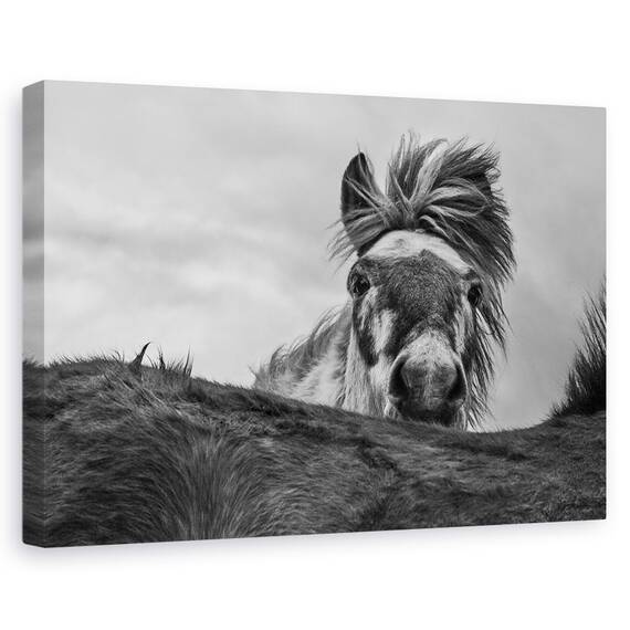 Tablou Canvas - Buna, Marime: 40 x 60 cm - - Roveli