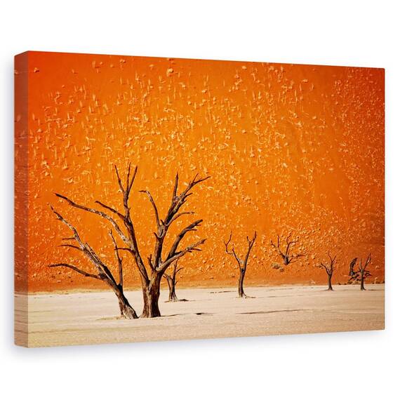 Tablou Canvas - Cel Mai In Varsta, Marime: 40 x 60 cm - - Roveli