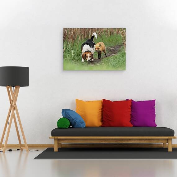 Tablou Canvas - Cel Mai Rau Caine De Vanatoare Din Lume, Marime: 40 x 60 cm - 3- Roveli