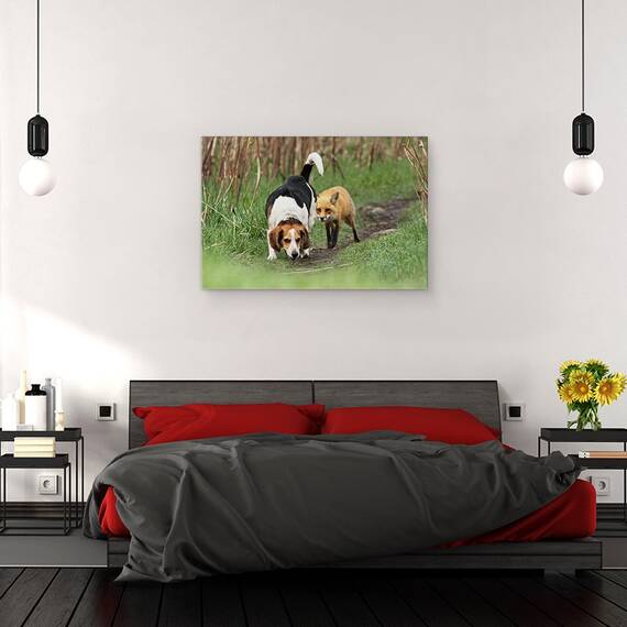 Tablou Canvas - Cel Mai Rau Caine De Vanatoare Din Lume, Marime: 40 x 60 cm - 4- Roveli