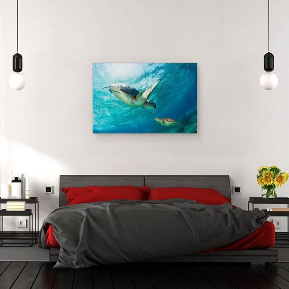 Tablou Canvas - Contact, Marime: 40 x 60 cm - 3- Roveli