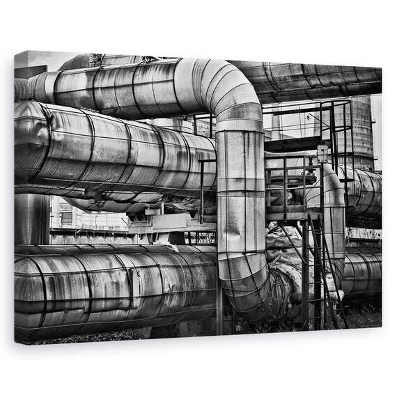 Tablou Canvas - Cuib De Vipere, Marime: 40 x 60 cm - - Roveli