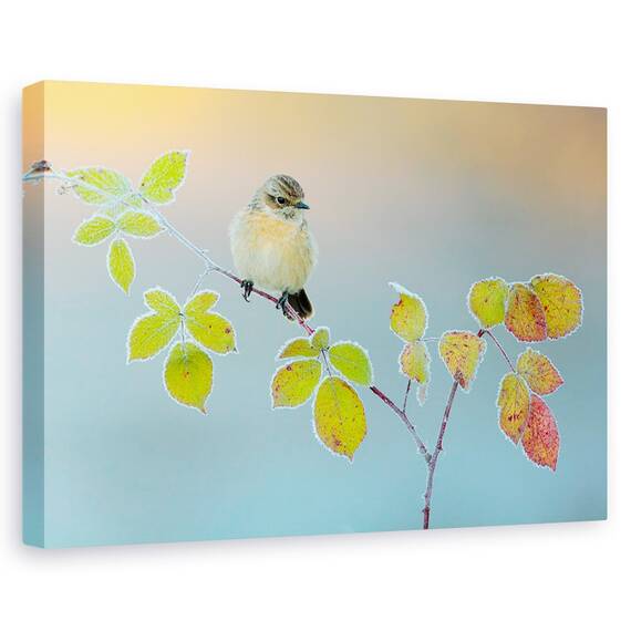 Tablou Canvas - Culori De Iarna, Marime: 40 x 60 cm - - Roveli