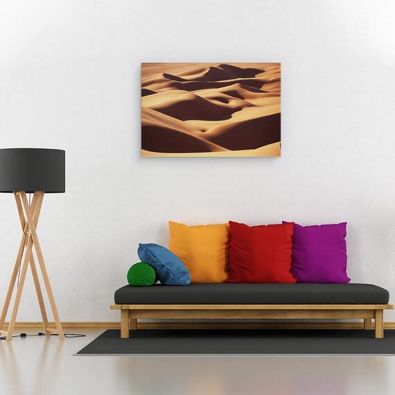 Tablou Canvas - Curbe, Marime: 40 x 60 cm - 2- Roveli