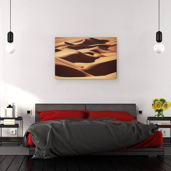 Tablou Canvas - Curbe, Marime: 40 x 60 cm - 3- Roveli