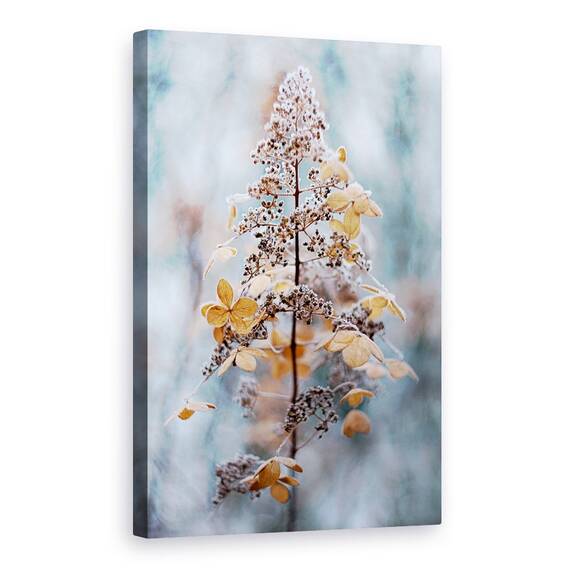 Tablou Canvas - Dantela De Iarna, Marime: 40 x 60 cm - - Roveli