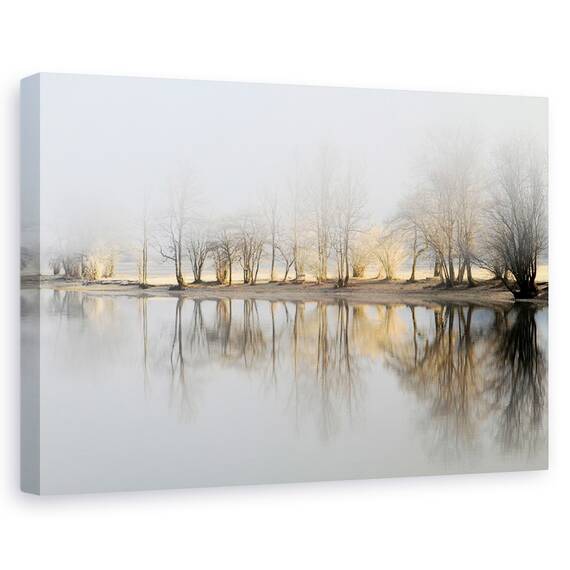 Tablou Canvas - Dimineata De Ianuarie, Marime: 40 x 60 cm - - Roveli
