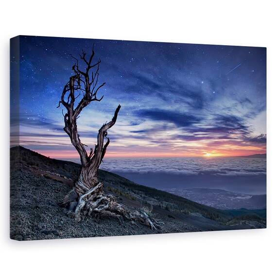 Tablou Canvas - Dincolo De Cer, Marime: 40 x 60 cm - - Roveli