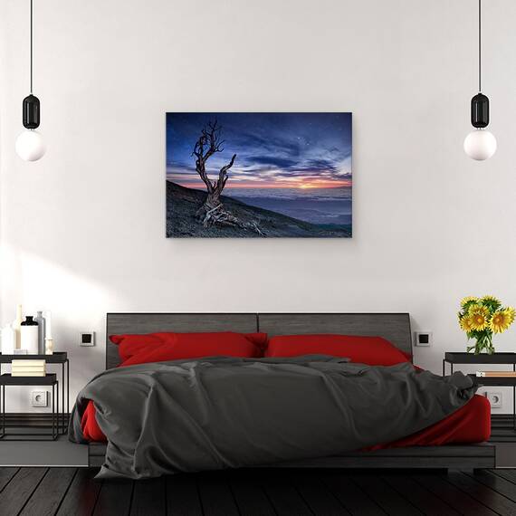Tablou Canvas - Dincolo De Cer, Marime: 40 x 60 cm - 3- Roveli