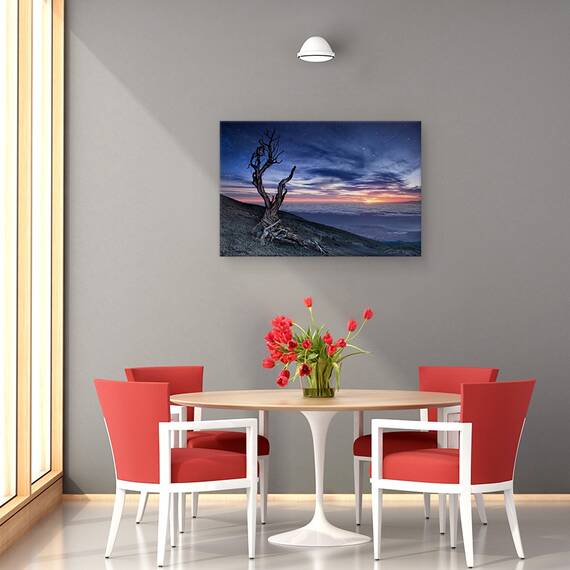 Tablou Canvas - Dincolo De Cer, Marime: 40 x 60 cm - 4- Roveli