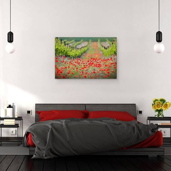 Tablou Canvas - Districtul Rosu, Marime: 40 x 60 cm - 3- Roveli