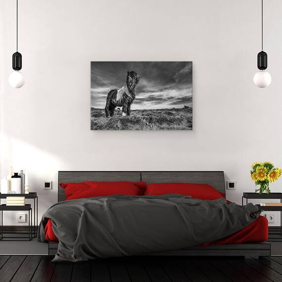 Tablou Canvas - Doua De Un Fel, Marime: 40 x 60 cm - 3- Roveli