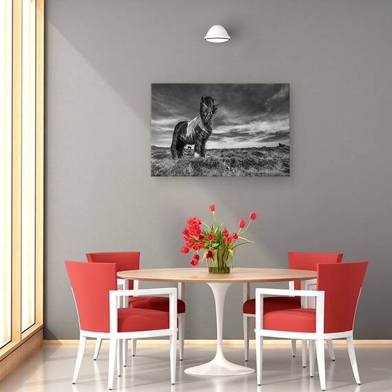 Tablou Canvas - Doua De Un Fel, Marime: 40 x 60 cm - 4- Roveli
